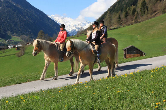 Ride horses, Omesberger Hof in Neustift – a holiday in the Stubai Valley in Tyrol