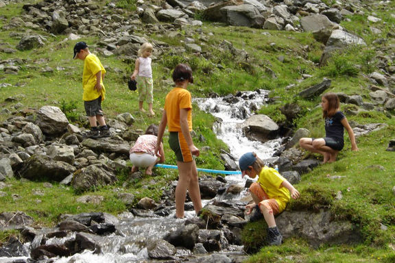 Summer, Omesberger Hof in Neustift – a holiday in the Stubai Valley in Tyrol