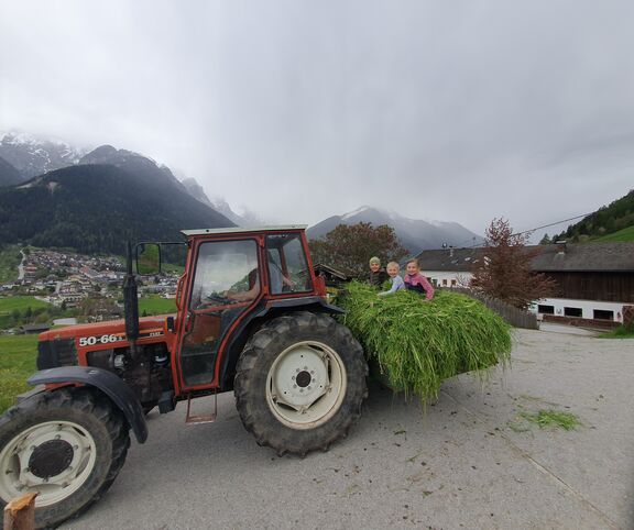 Feldarbeit, Omesberger Hof in Neustift - Urlaub im Stubaital in Tirol